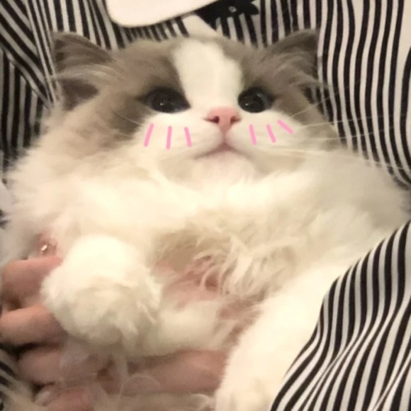 rrxx